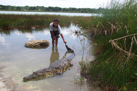 Crocodile Dundee en herbe