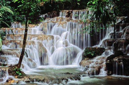 Rivi�re � Palenque