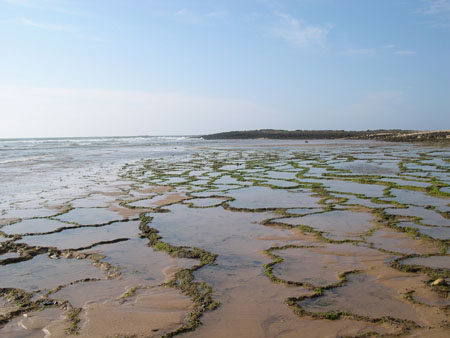 L� o� la mer rencontre le fleuve