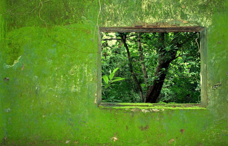 L'enfert vert