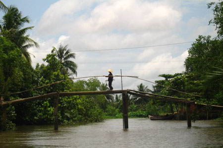 Sur un tronc d'arbre � Can Tho