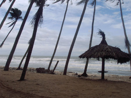 Mui N�
