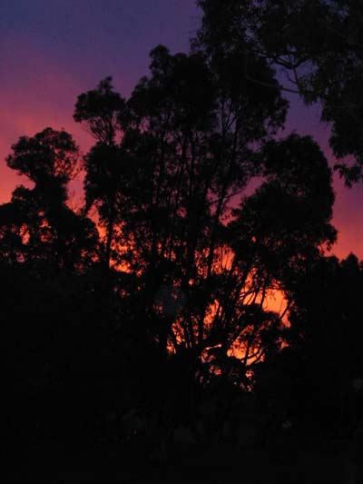 Coucher de soleil pr�s de Perth