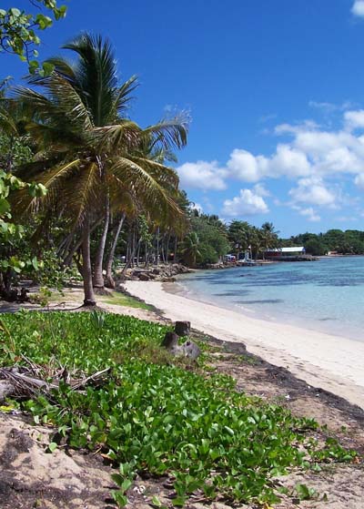 Plage de Sainte Anne