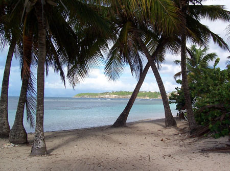 Plage de Sainte Anne