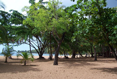 Plage de Grande Anse