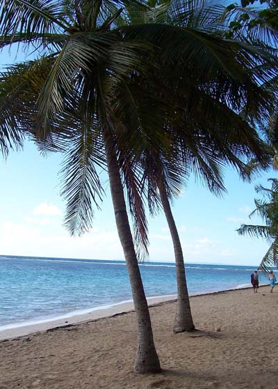 Plage de Sainte-Anne