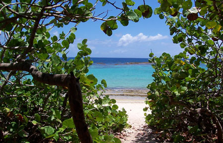 Anse � la Gourde