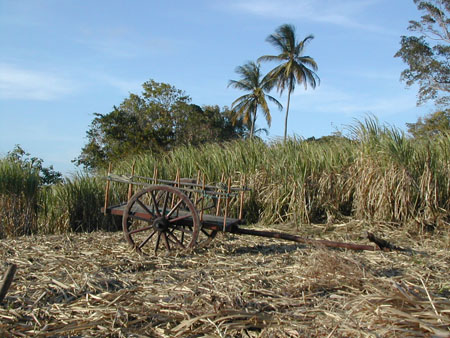 Marie-Galante