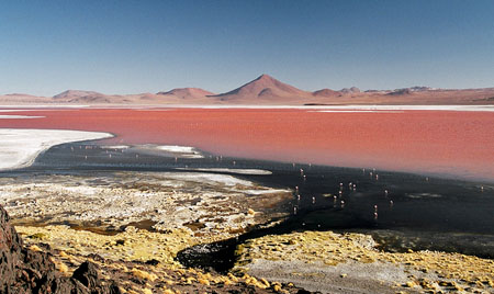 Laguna Colorada