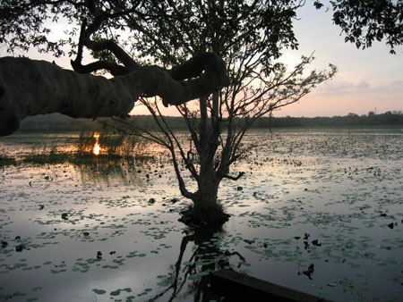 Coucher de soleil � Habarana