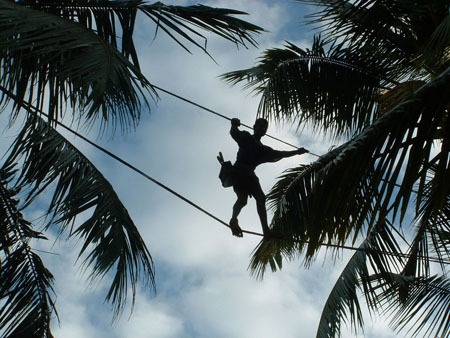 Ramasseurs de s�ve de palmiers