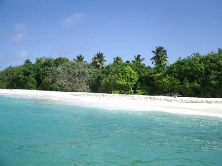 C�te sauvage de Bird Island