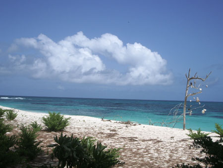 Lagon de Bird Island