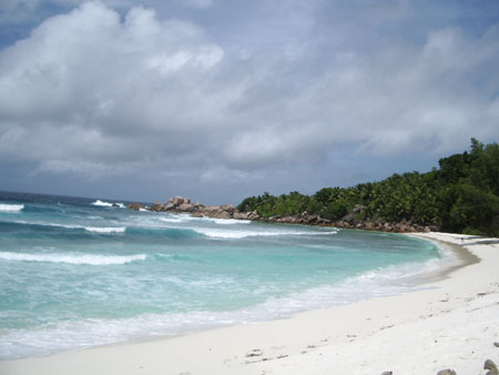 Beaut� sauvage
