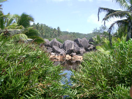 Beaut� des Seychelles