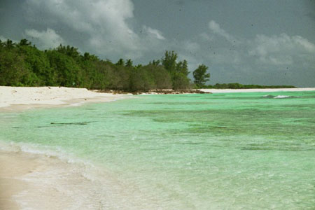 Plage de Bird Island