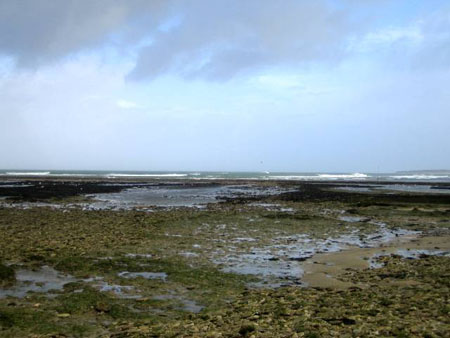 Mar�e Basse