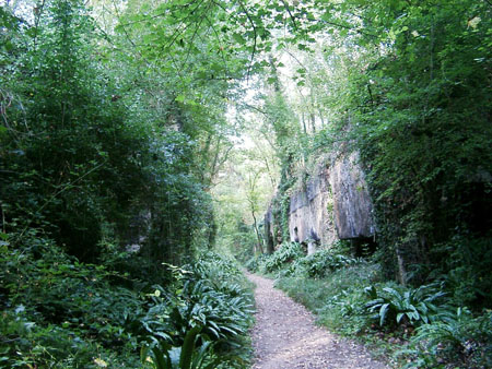 En chemin pour la carri�re