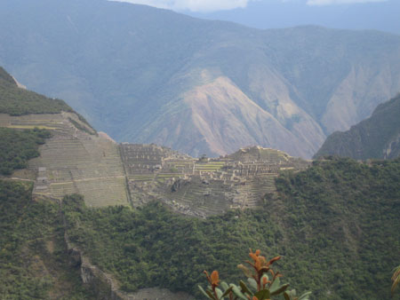 Machu Picchu vu du haut du Putukusi