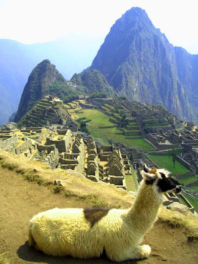 Machu Picchu