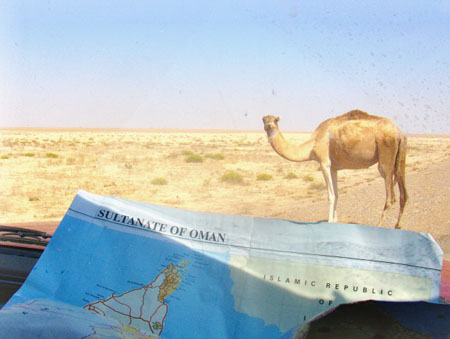 Sur la route de Salalah