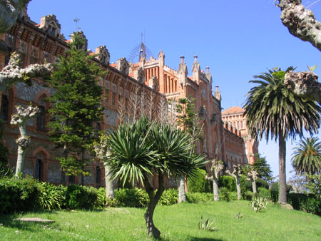 Universit� pontificale