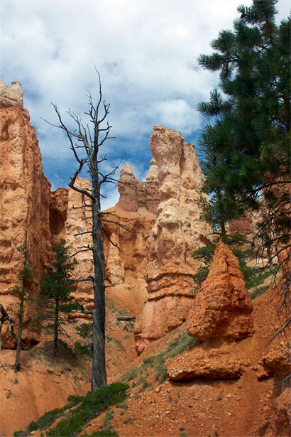 randonn�es dans bryce canyon