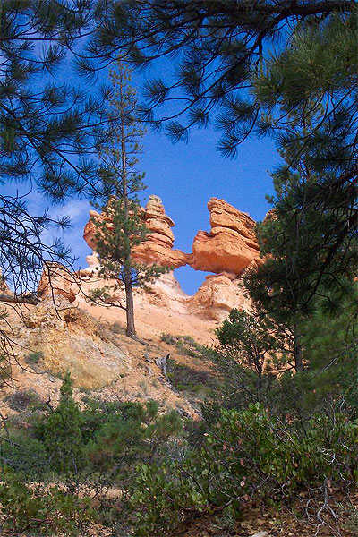 Bryce canyon