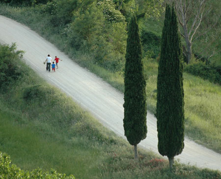Strada bianca
