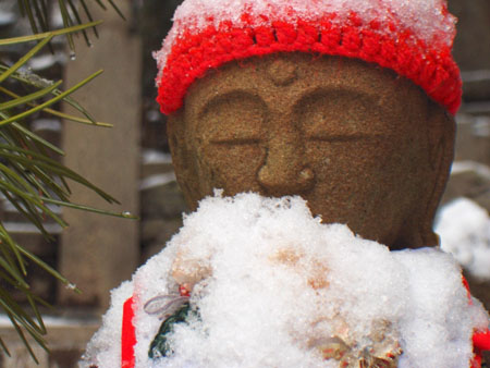 Quand Little Buddha a froid...
