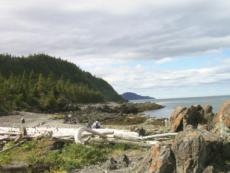 Mar�e basse � Bic