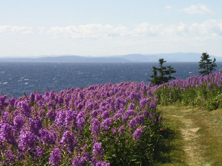 Baie de Gasp�