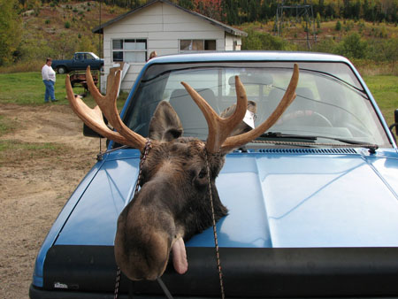De la viande pour tout l'hiver