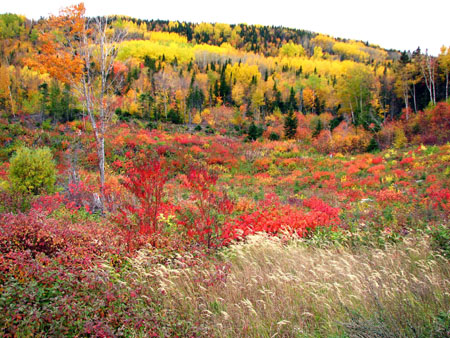 Les couleurs