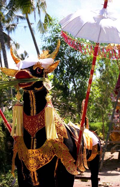 Cr�mation � Bali