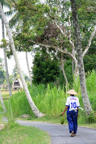Zizou