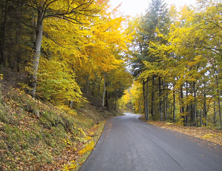 Route de Villefort