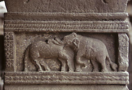 Rikshabhavahana