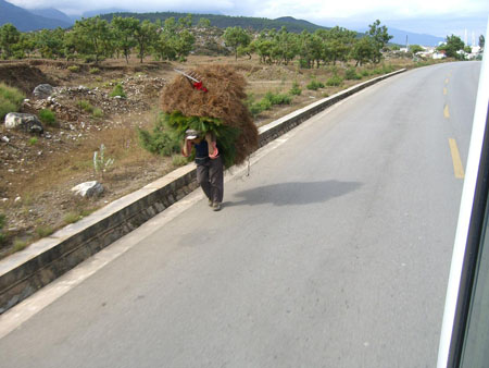 Paysan sur la route vers Dali