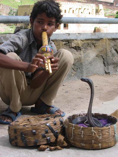 Charmeur de serpents