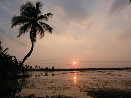 Coucher Soleil � Allepey
