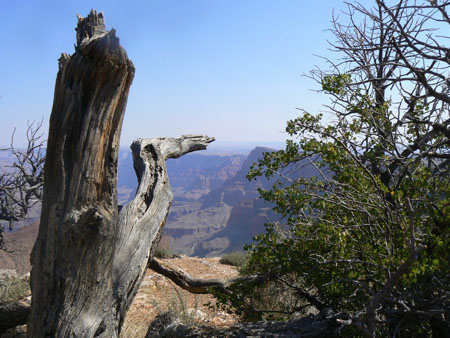 Grand canyon