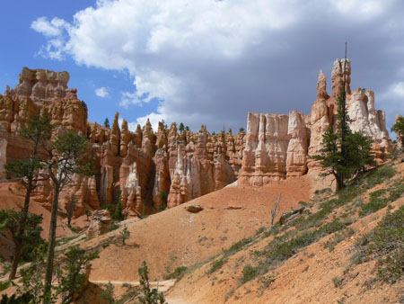 Bryce