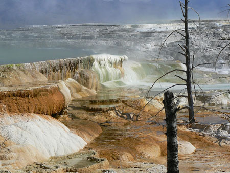 Mammoth hot springs