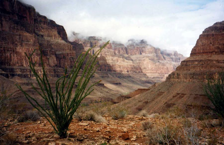 Grand Canyon