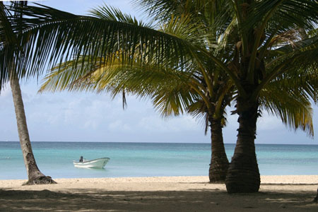 Ile Saona