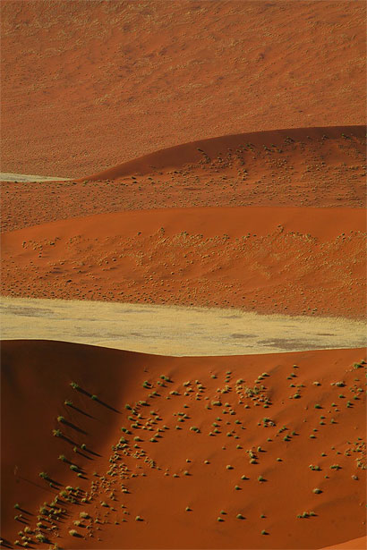 Desert de Namib