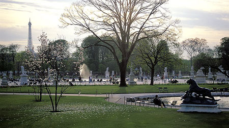 Jardin des Tuilleries