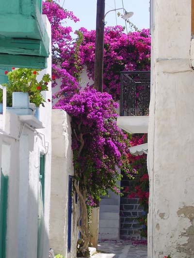 Amorgos